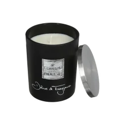 Vela En Vaso Delicia 490G 10x12.5Cm