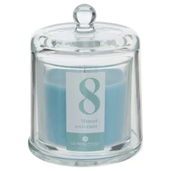 Vela perfumada con campana vidrio NUMIA 240g