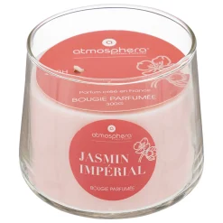 Vela perfumada jamín IZOR 300g