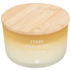 Vela perfumada terre d'ailleurs SANA 420g